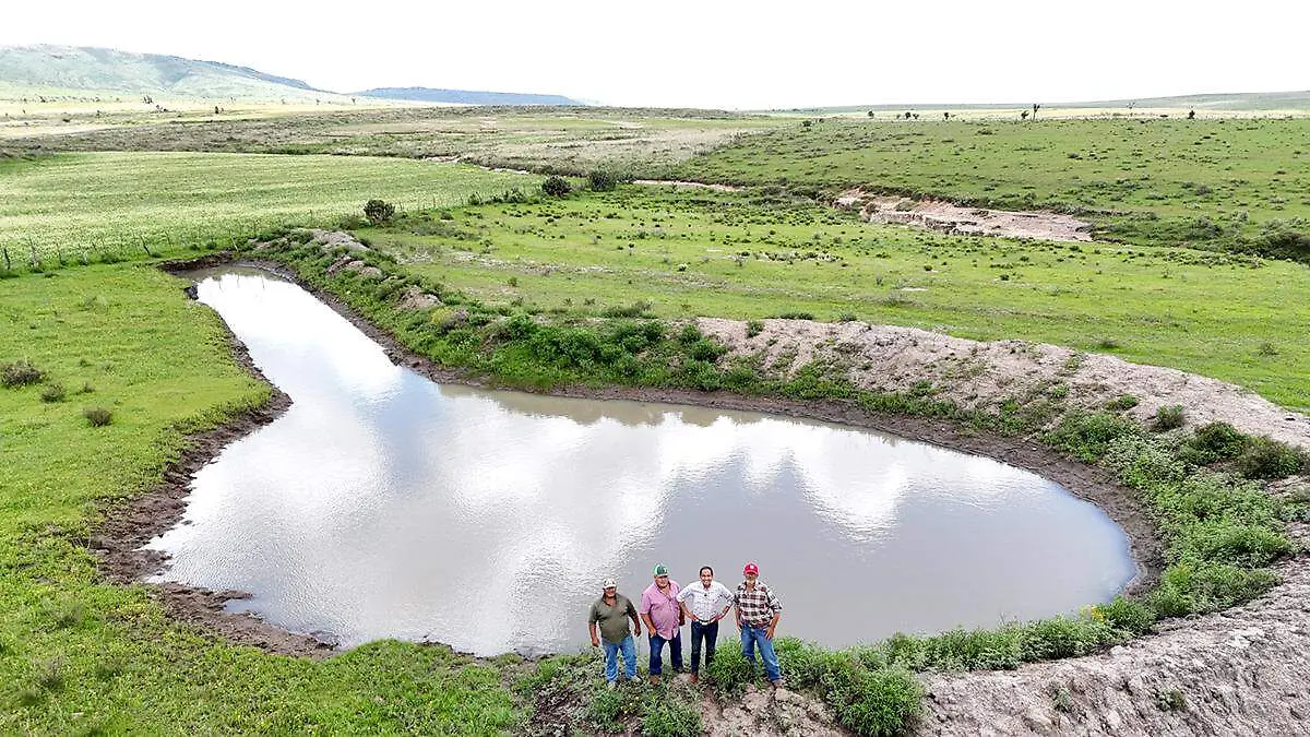 Bordo de abrevadero en Viboritas, Guadalupe, Zacatecas