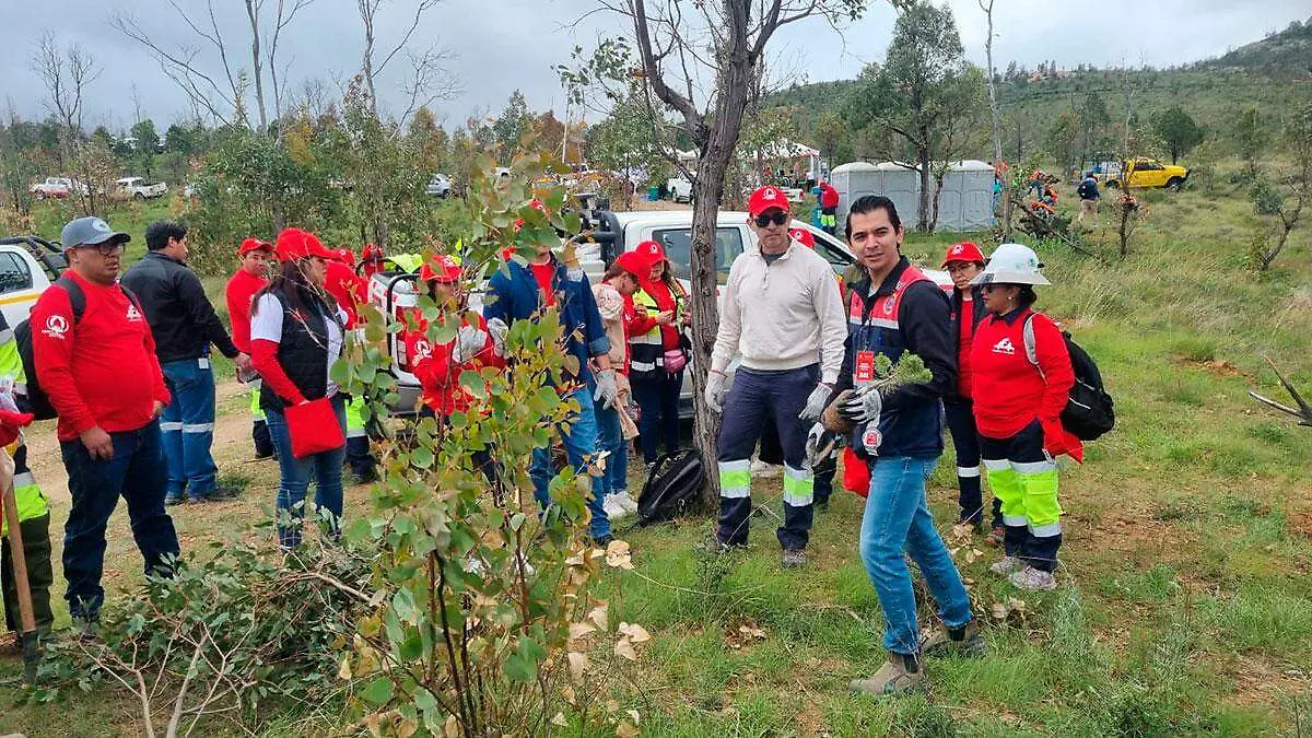 Capstone Copper participa en jronada de reforestación de La Bufa