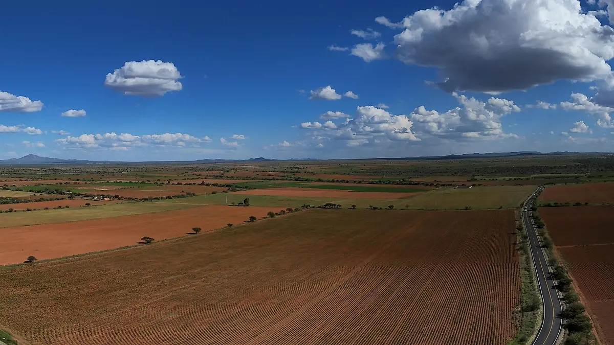Carretera a La Cocinera, Guadalupe, Zacatecas