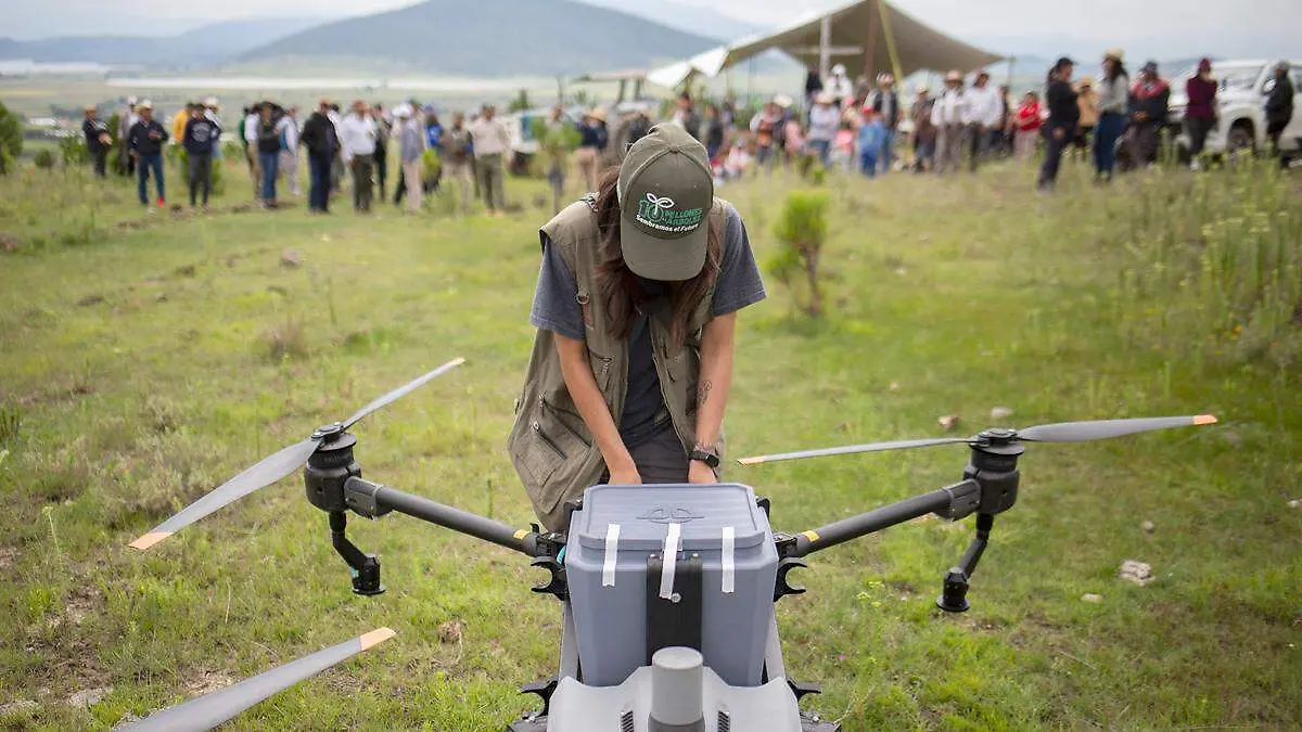 Reforestan bosques con drones