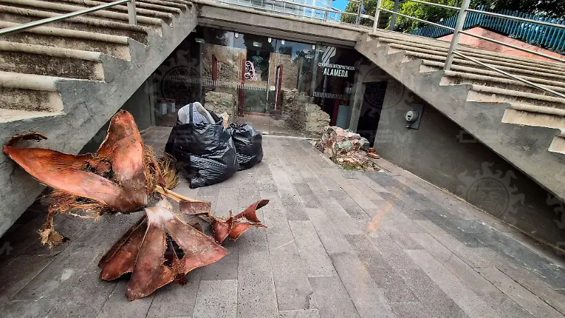 Centro Cultural Alameda, en total abandono