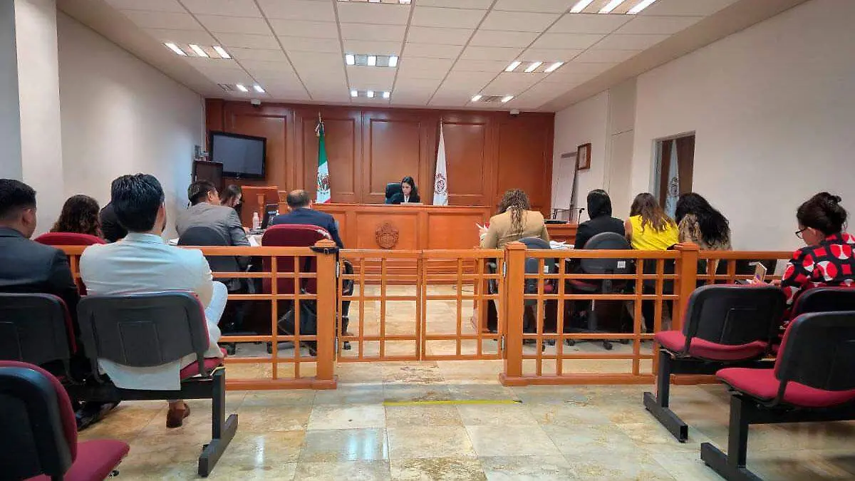 Audiencia-de-vinculación