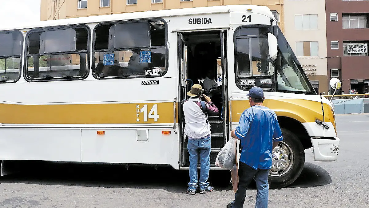 Ruta-14