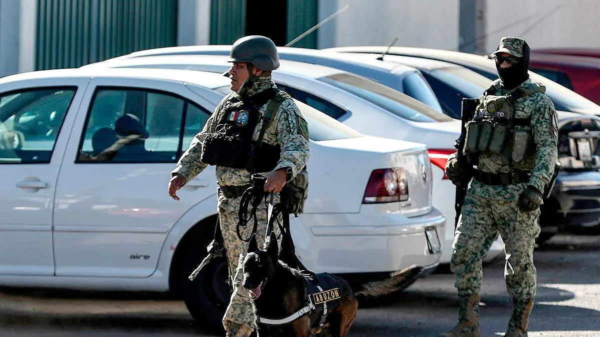 Elementos del Ejército Mexicano