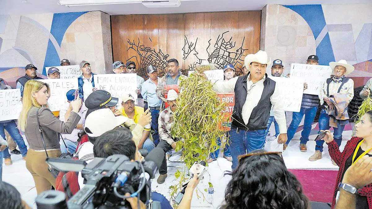 Productores-de-frijol