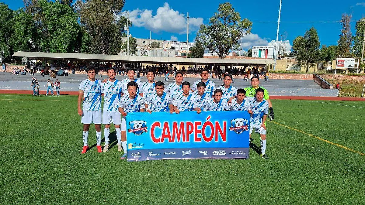 Copa Telmex