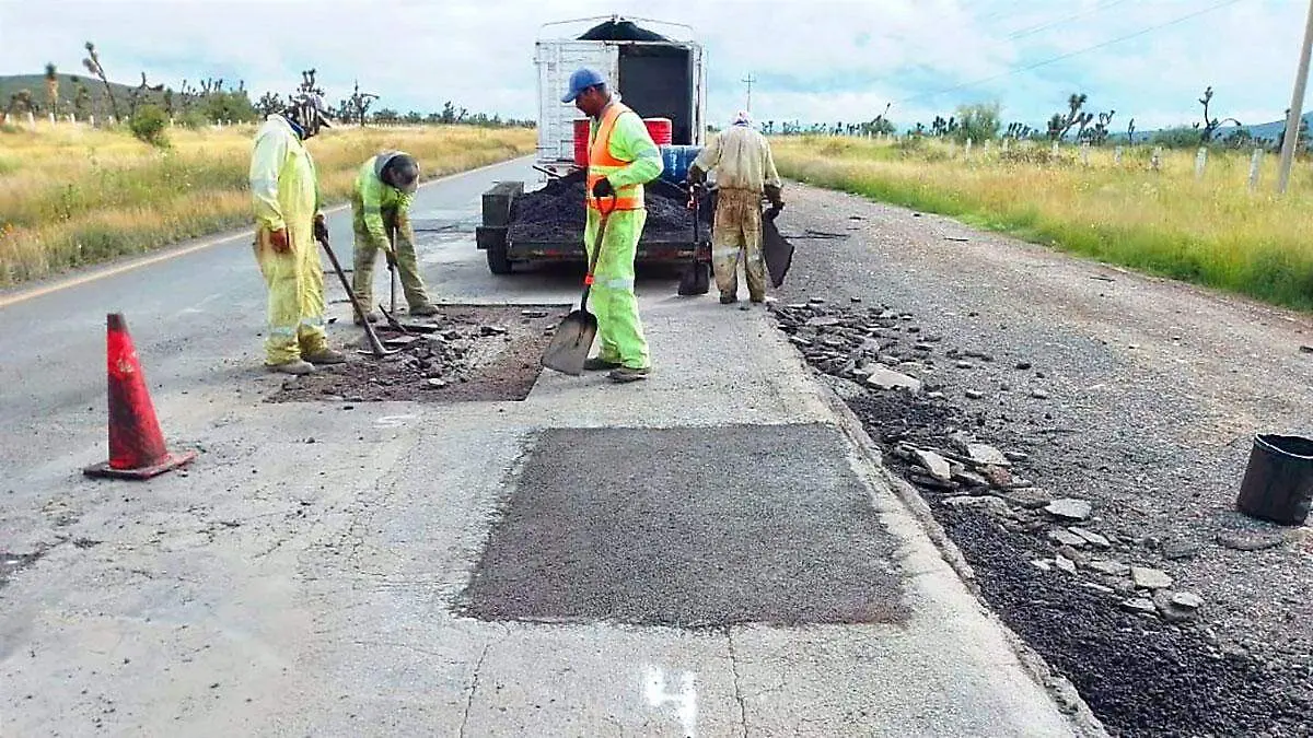 baches