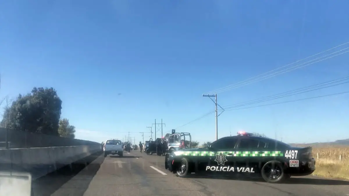 Atropellan a peregrino