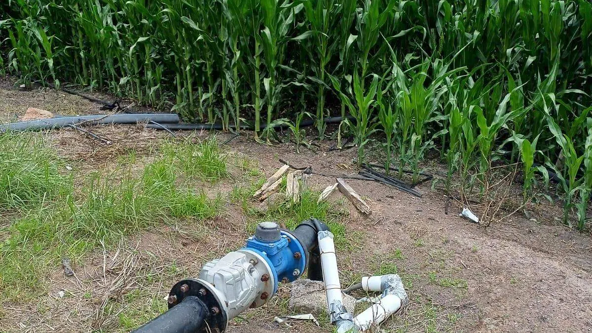 Sistema de riego en Zacatecas