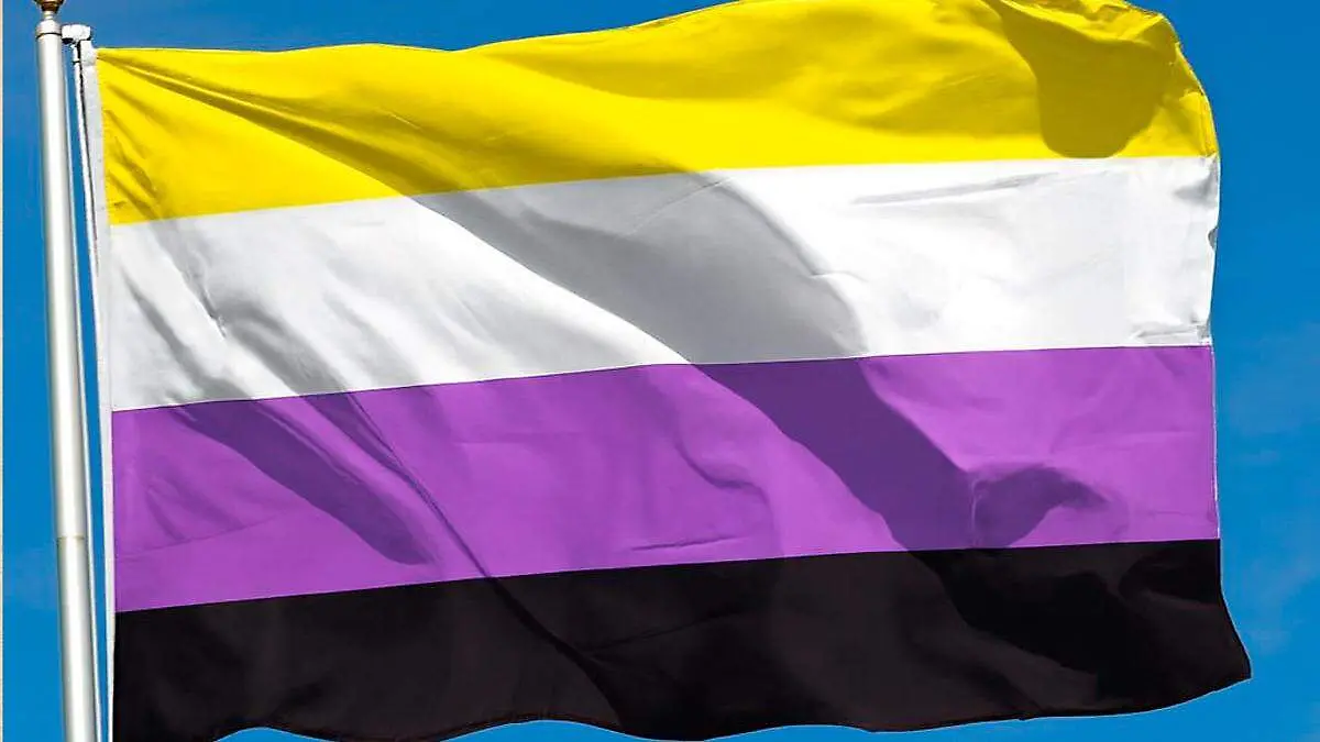 Bandera de la comunidad no binaria