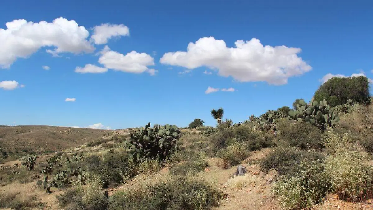 Panuco-Central-Landscape-1-1024x683