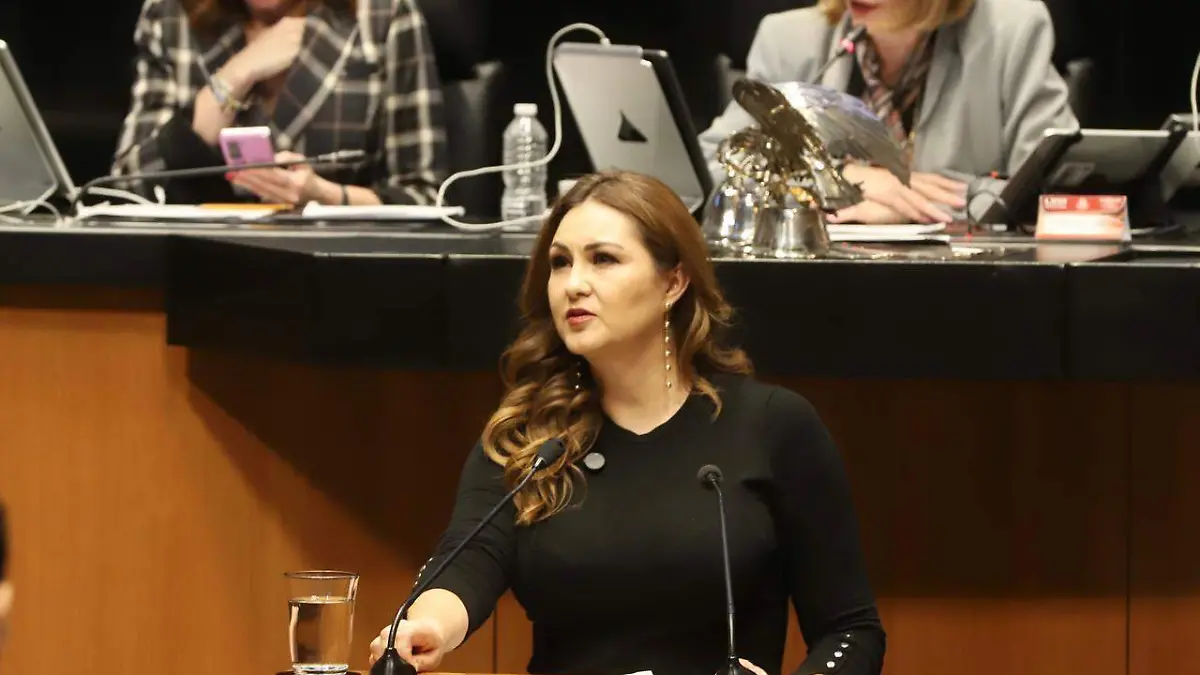 Geovanna Bañuelos, senadora de la República
