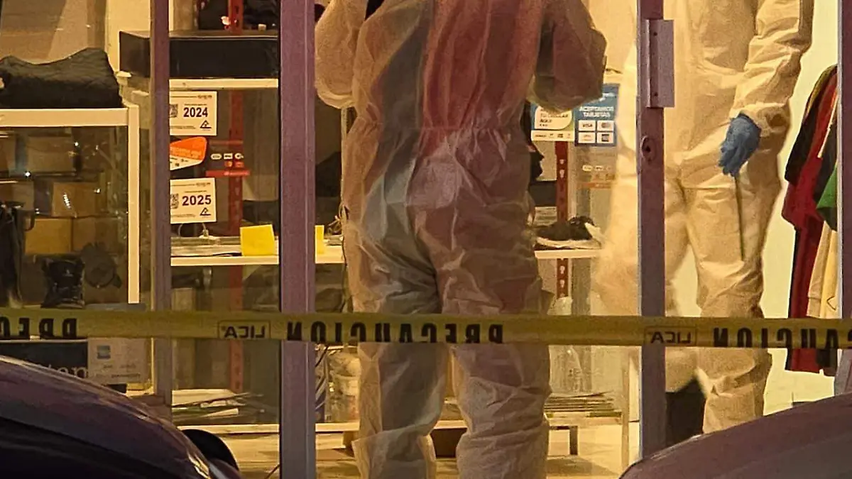 Imagen de WhatsApp 2025-11-24 a las 20.24.44_e5ebb105