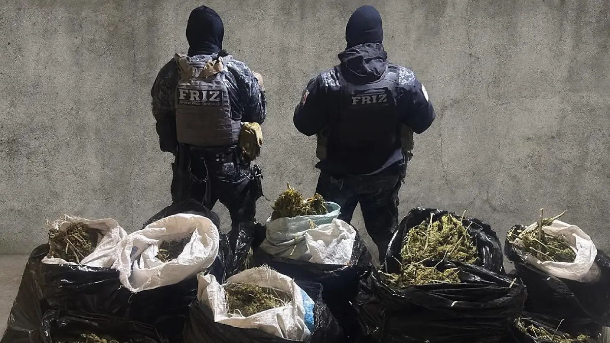 Enervante asegurado en operativo en Teúl de González Ortega, Zacatecas