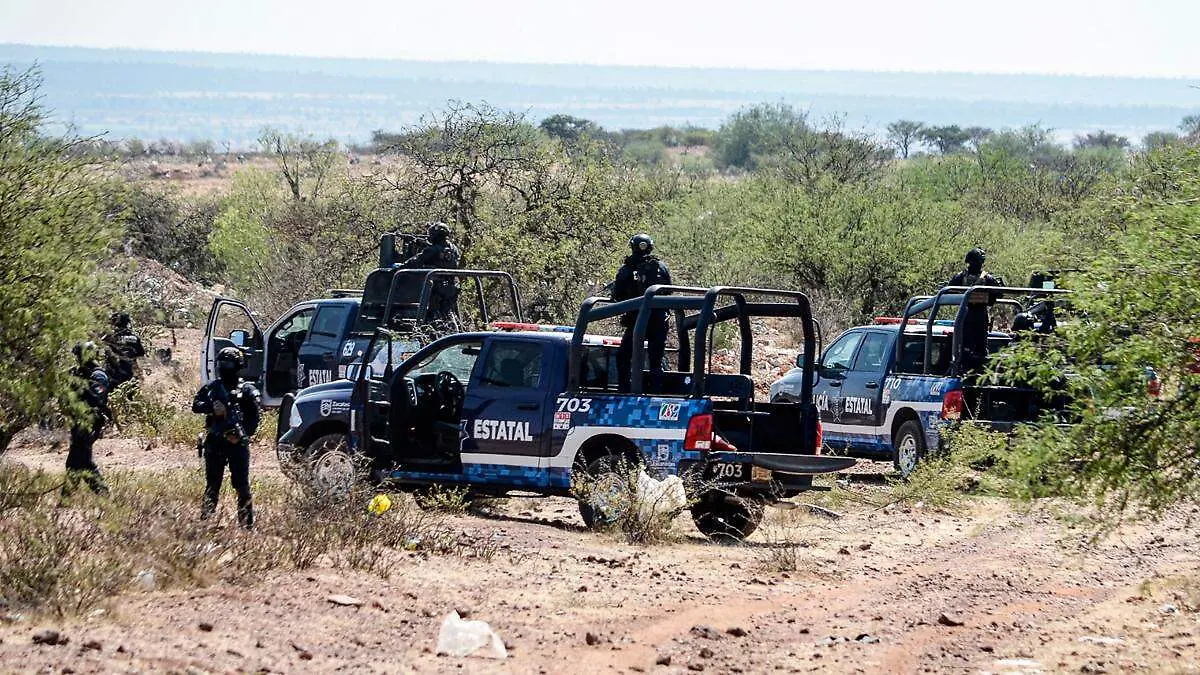 Patrullas de la Policía Estatal de Zacatecas