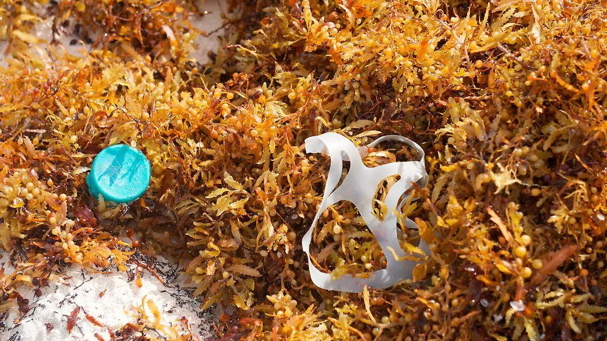 Residuos plásticos en el mar