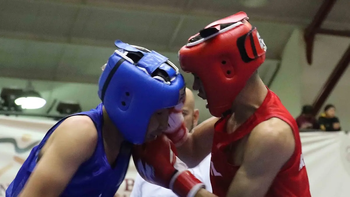 Boxeadores en acción