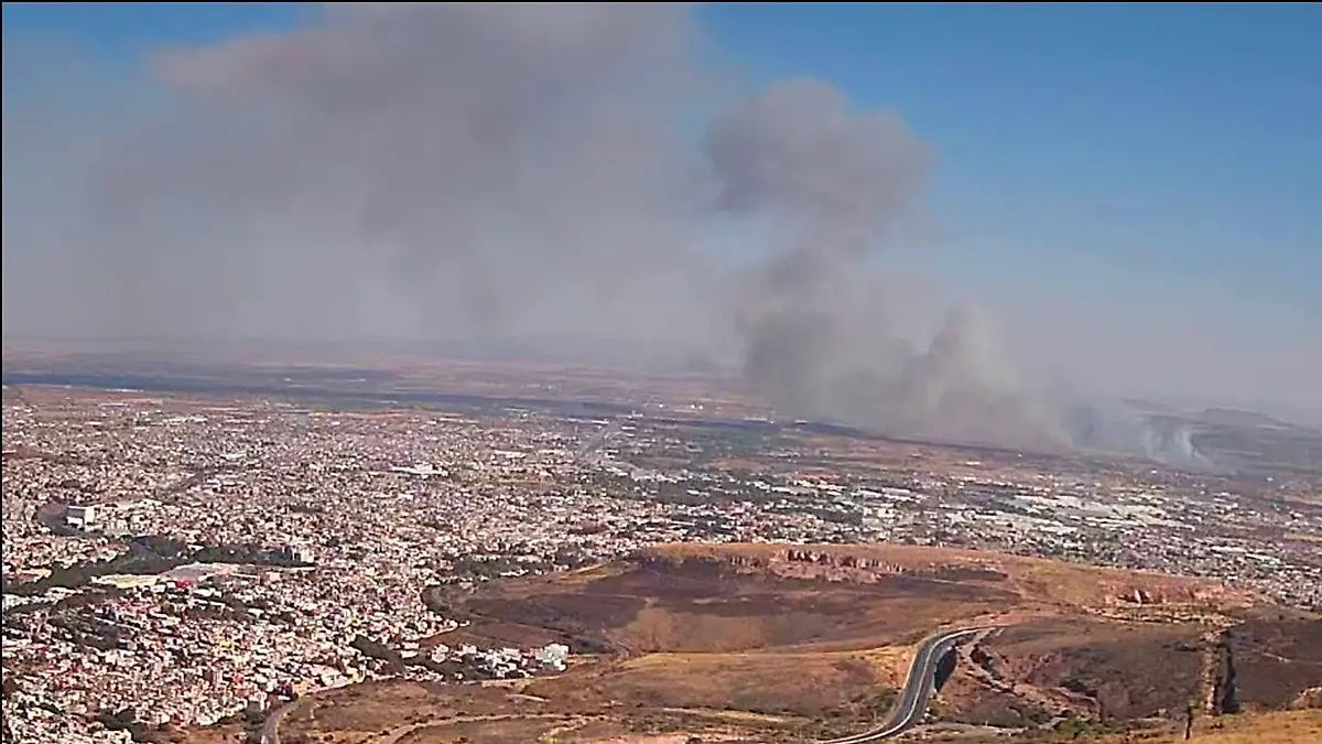 Incendio forestal en Guadalupe