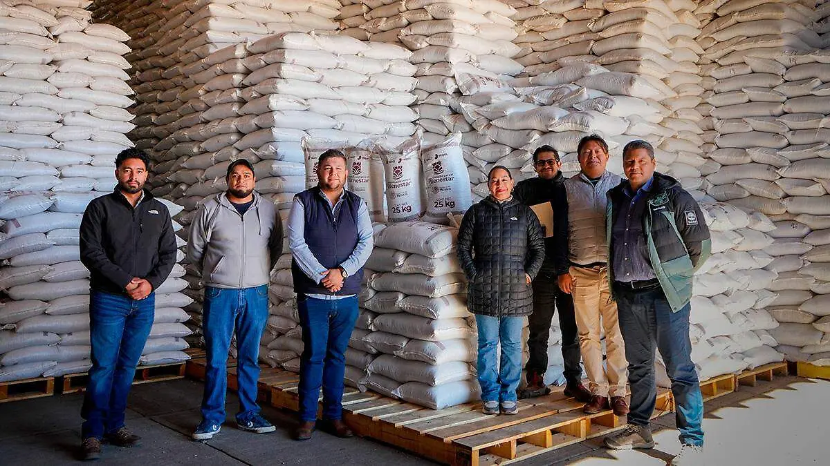 Acopio de frijol en Zacatecas