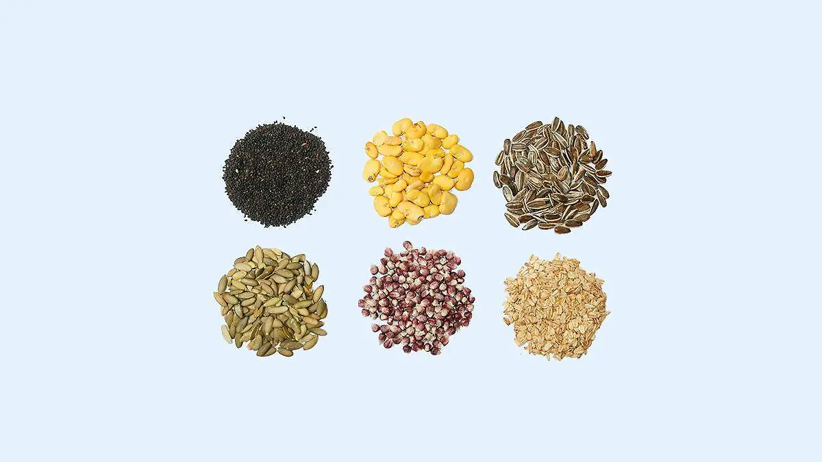 Semillas y granos de la UNAM