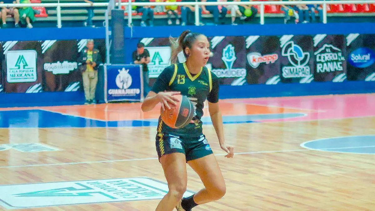 Mieleras de Guanajuato