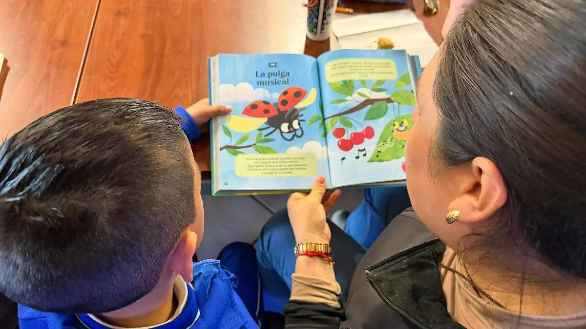 WhatsApp Image 2026-02-17 at 13.05.03