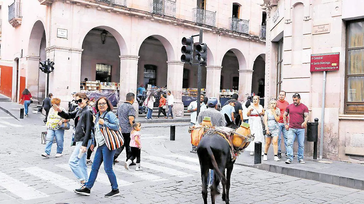 Actividades en el centro de Zacatecas