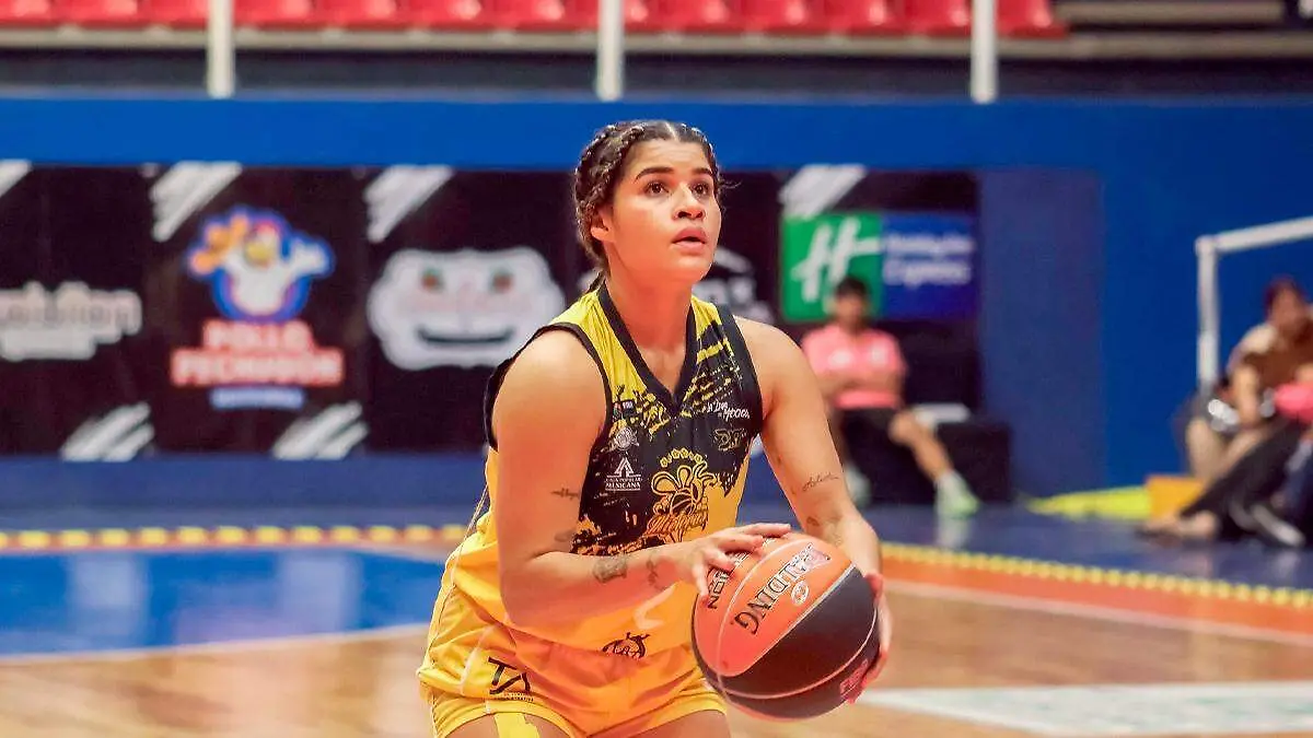 Mieleras de Guanajuato