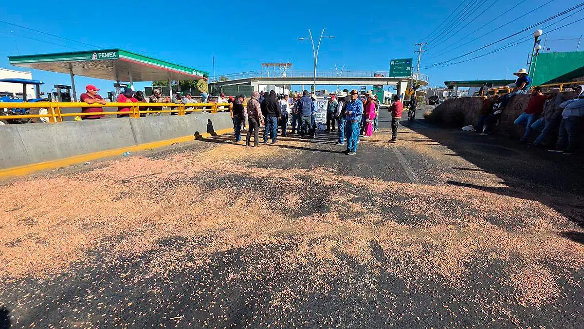 Productores de frijol reanudan protestas en Zacatecas