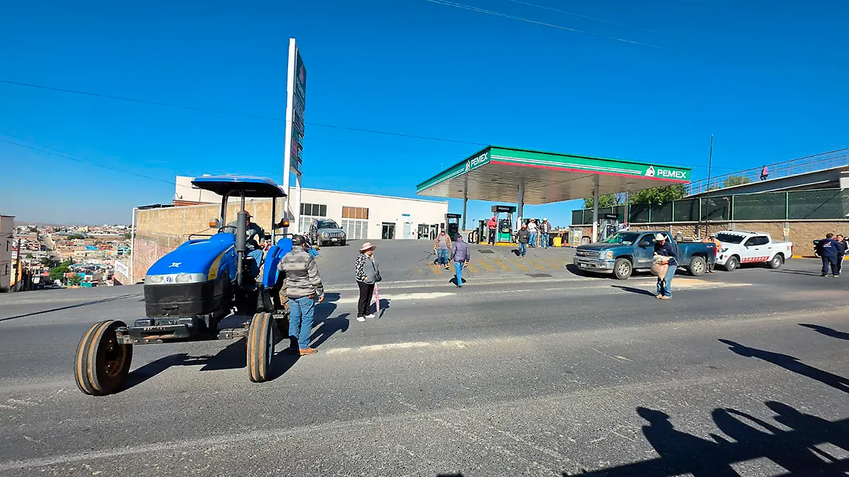 Productores de productoes de frijol