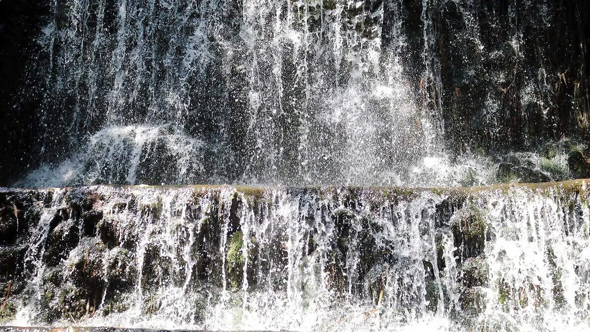 Día mundial del agua