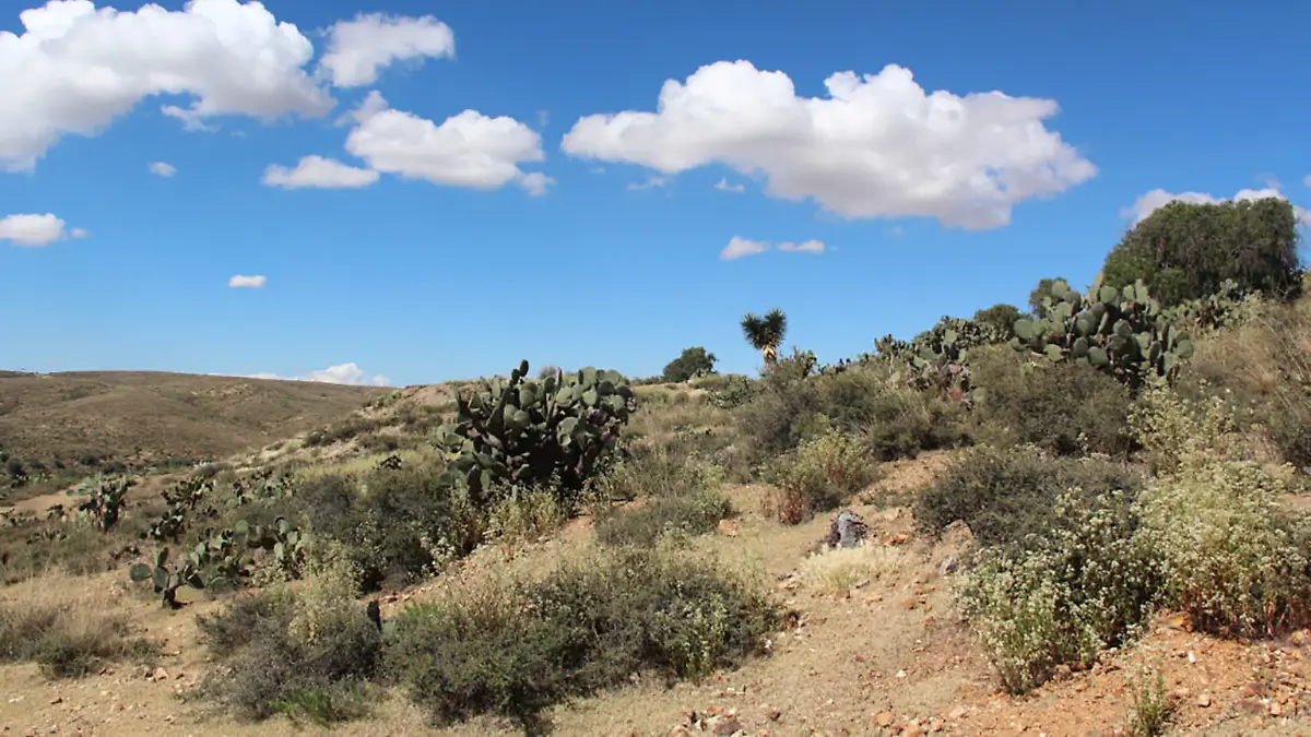 Minería Zacatecas Silver