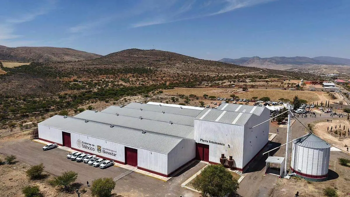 Embolsadora de frijol en Sombrerete, Zacatecas6