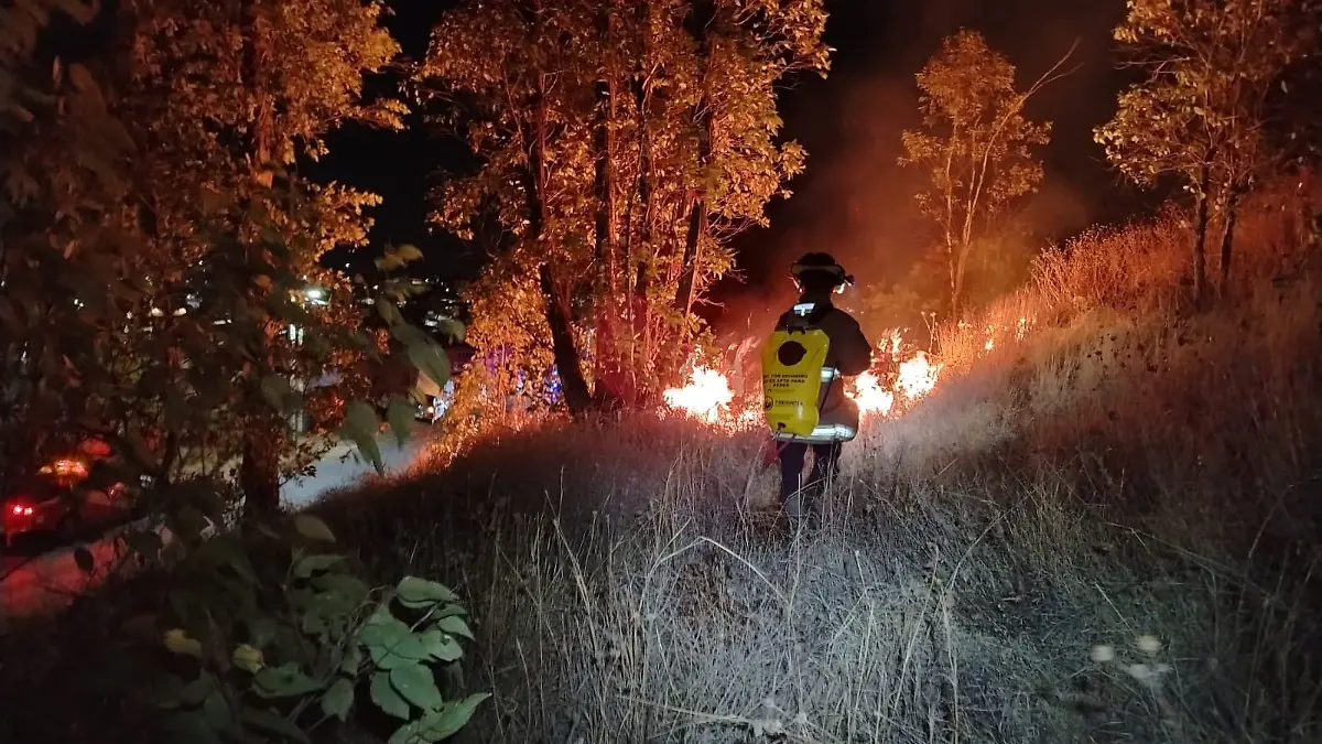 Incendio forestal en Zacatecas
