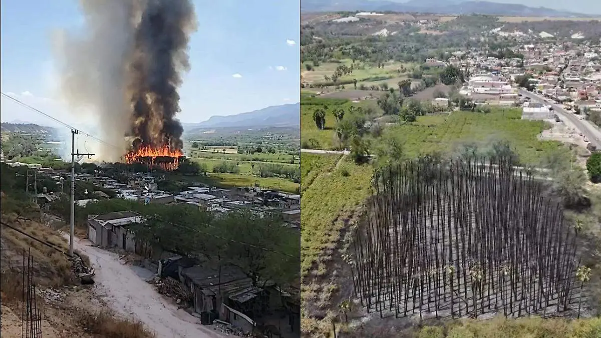 Incendio forestal en Apozol, Zacatecas
