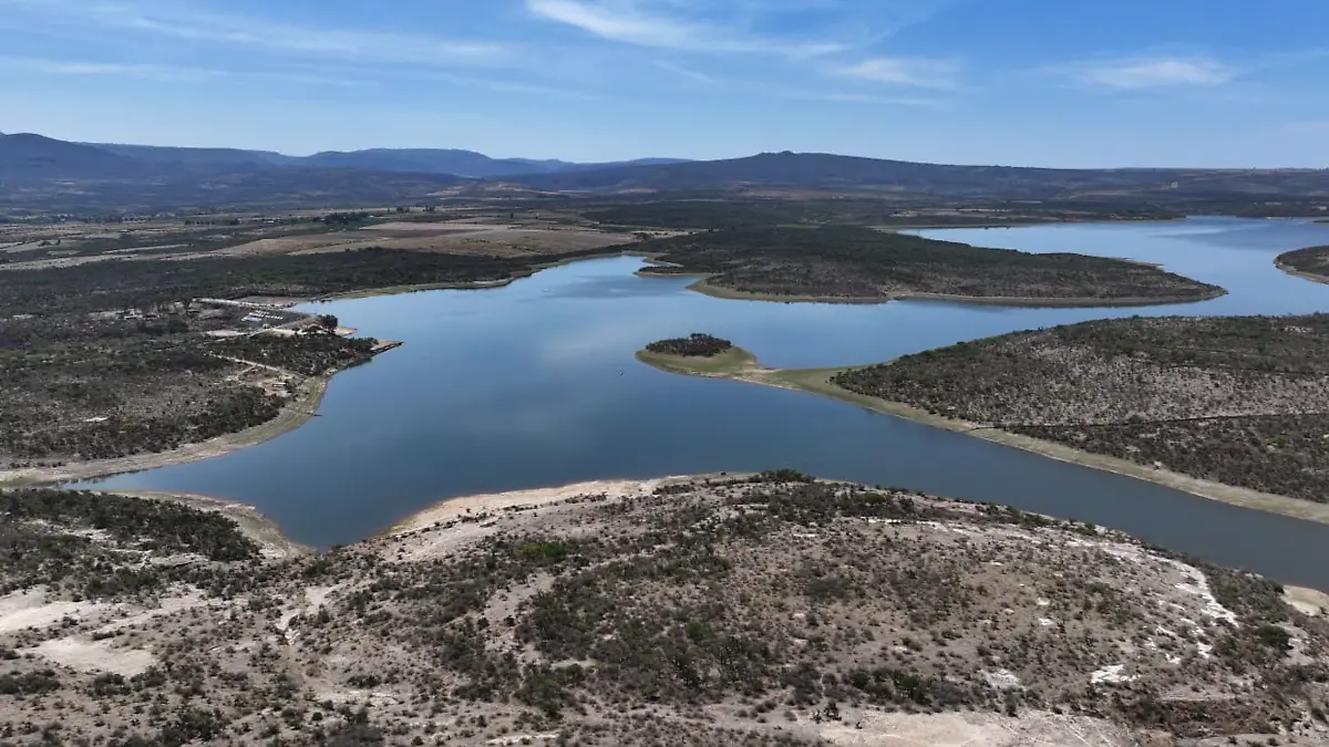 búsqueda de personas en Tepechitlán, Zacatecas