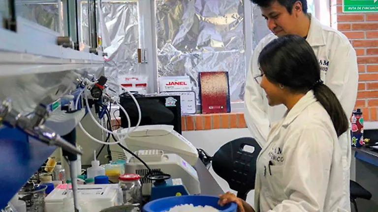 Investigadores UNAM