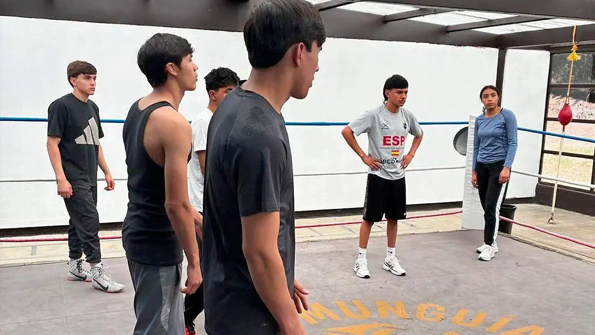 Boxeadores entrenando