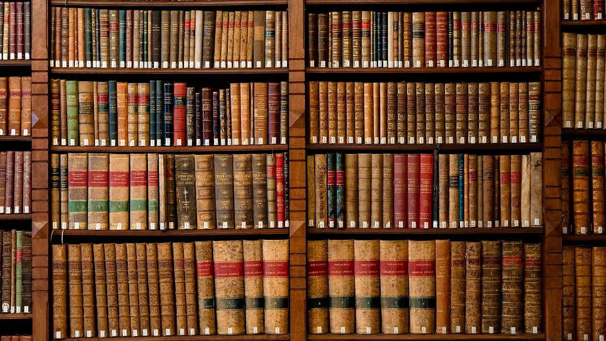 Biblioteca de la REA