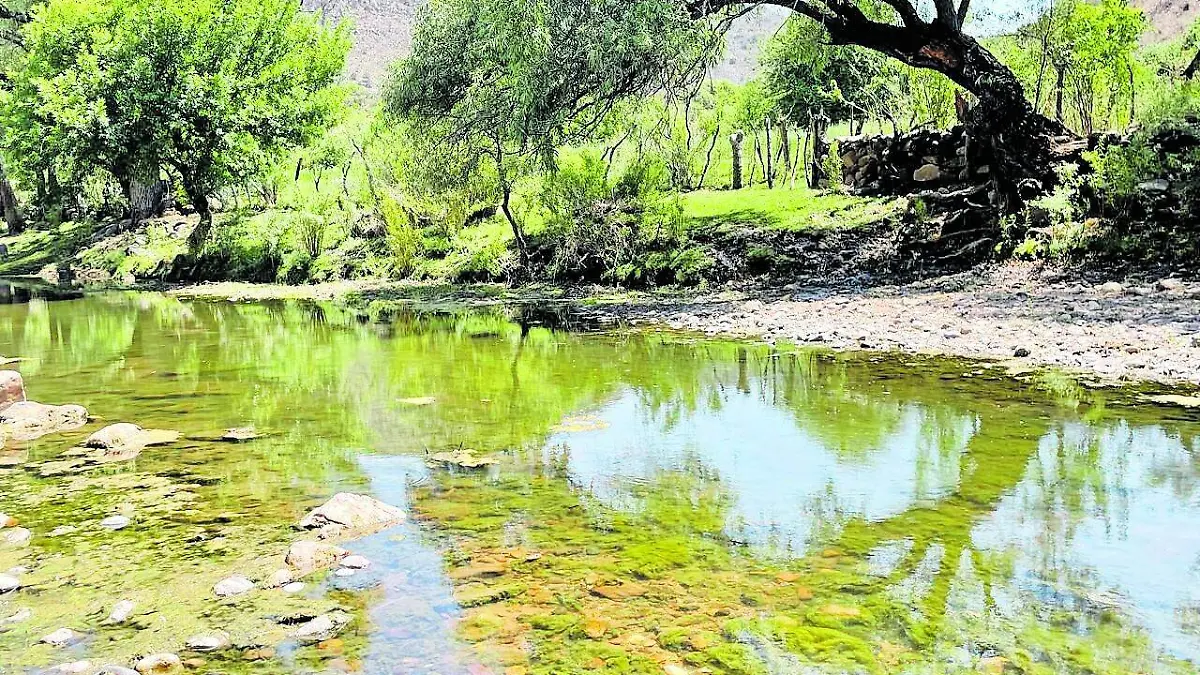 Río Atenco en el municipio de Jiménez del Teul, Zacatecas
