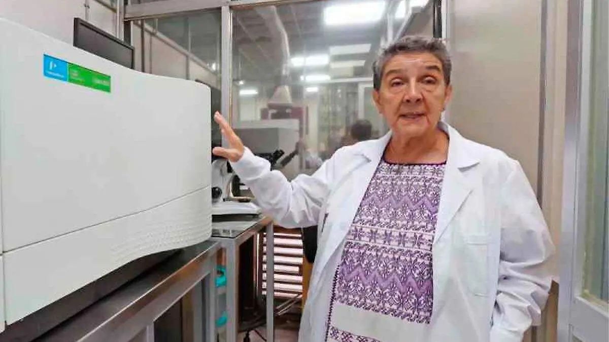 Investigadora IPN