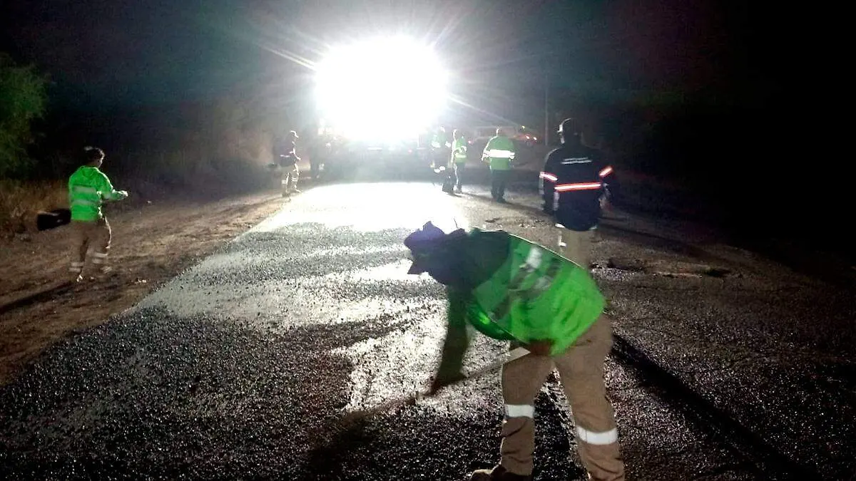 Personas haciendo trabajo de bacheo