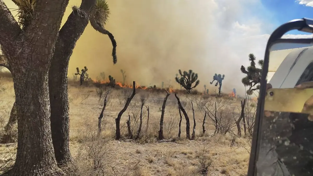 Incendio forestal en Efigenia, Villa de Cos