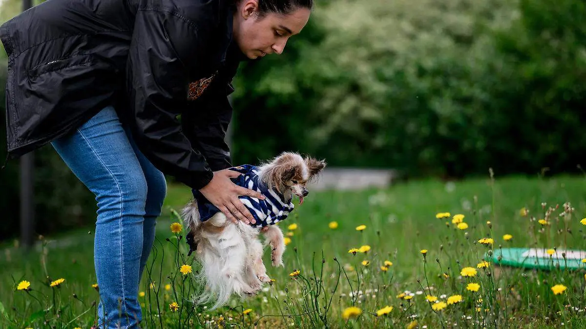Mujer sosteniendo una mascota