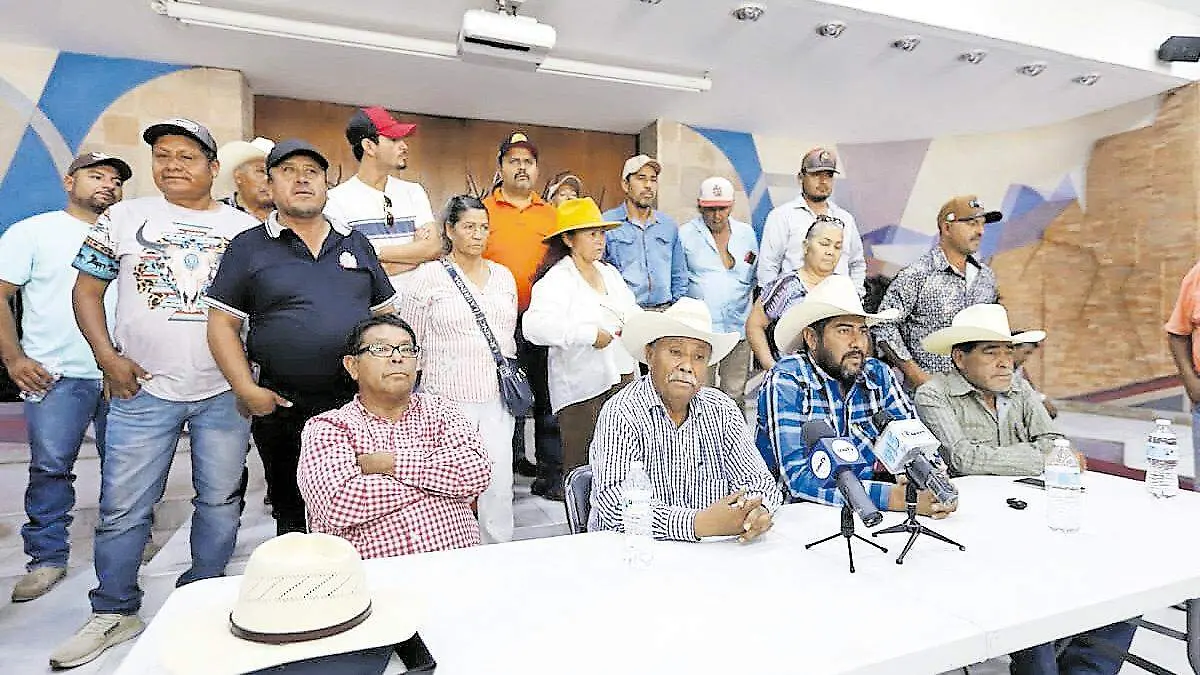 Productores de frijol de Zacatecas