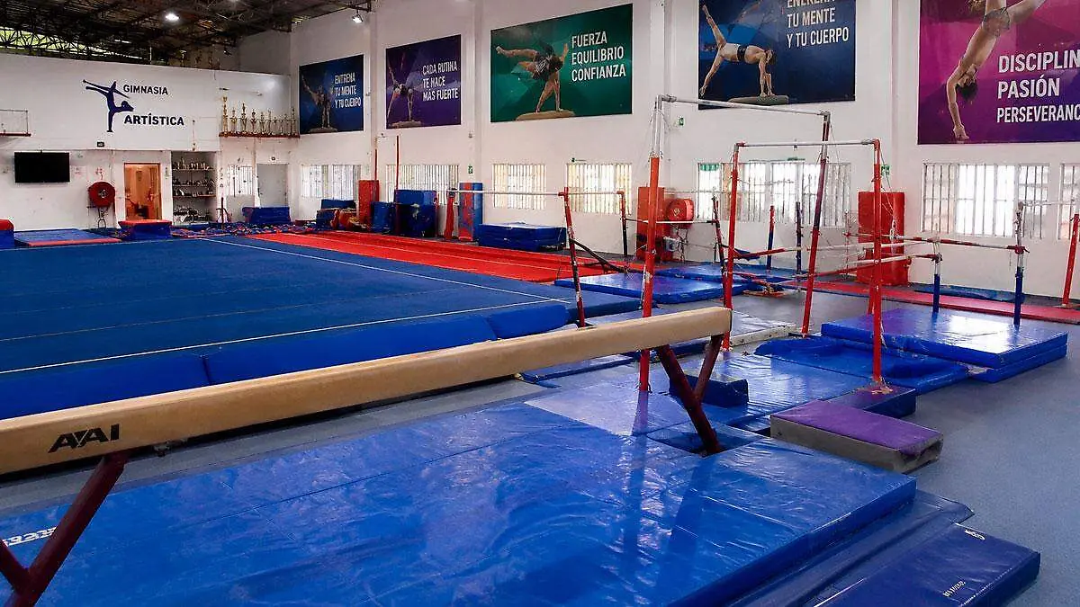 Estudio-de-gimnasio
