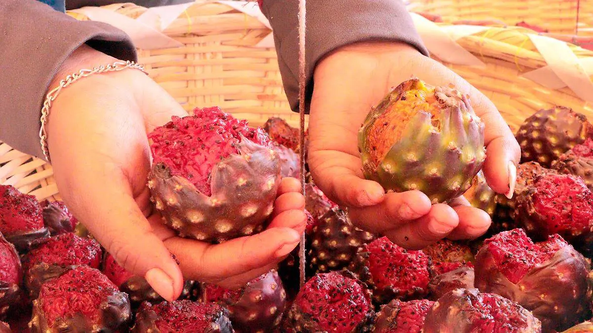 Pitayas zacatecanas