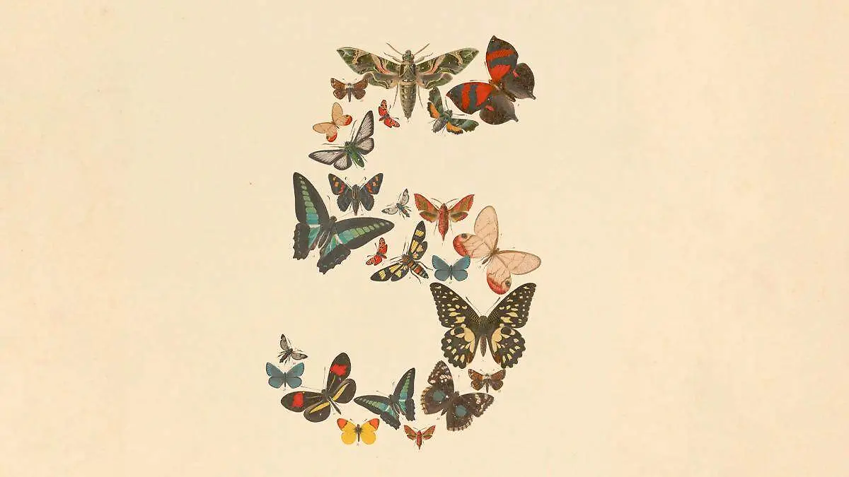 Claude 5