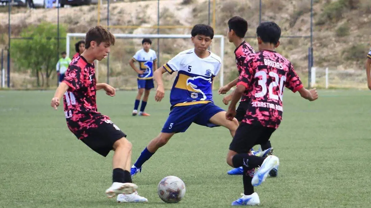 Partido de futbol