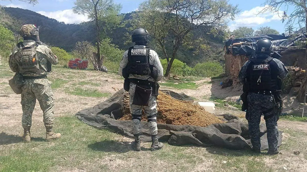 Enervante asegurado en operativo en Florencia de Benito Juárez